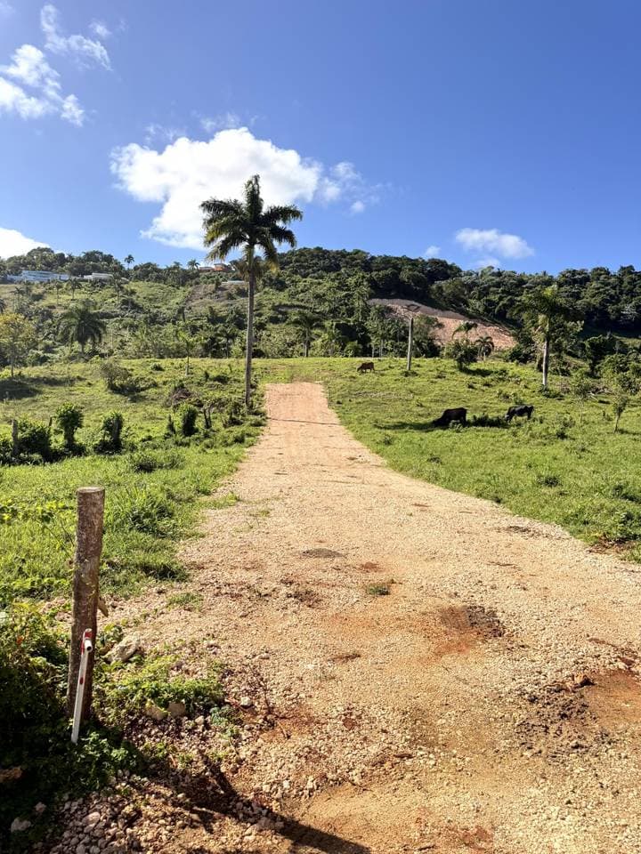 Se vende solares donde hay vistas bonitas… y hay vistas que te obligan a bajar la voz en Cabrera — 2