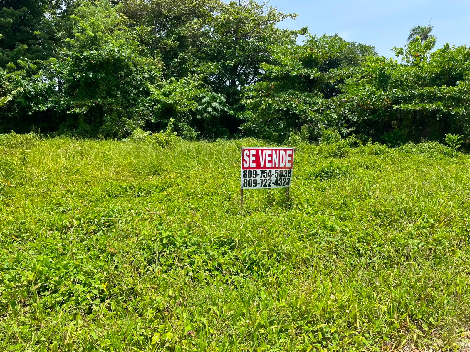 Solar en venta en El Jamo, Cabrera — 1