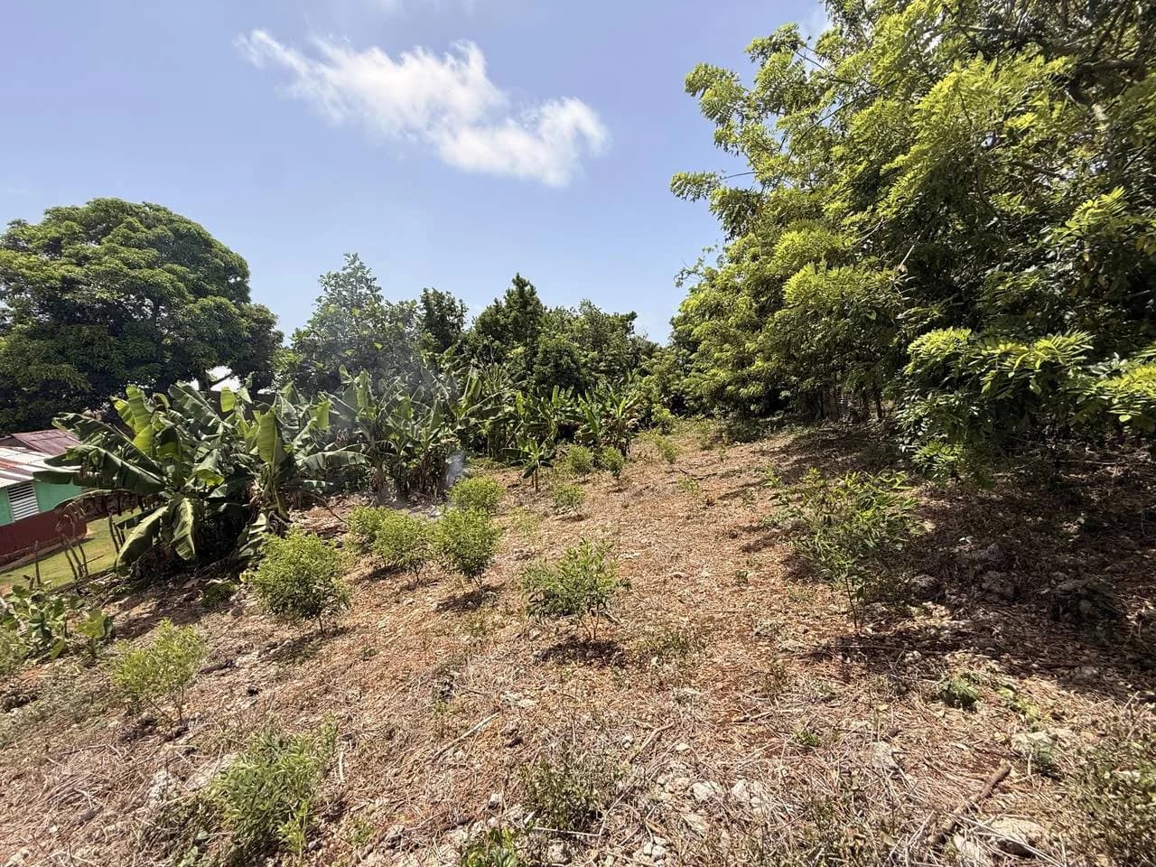 Solar de 1,240 m² con vista al mar en Loma Alta, Cabrera | Seda Realty — 2